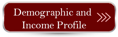 Demographic and Income Profile